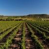 Отель Abadia Retuerta Ledomaine, фото 19