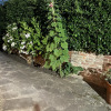 Отель Stunning 2 Bed Cotswold Cottage Winchcombe, фото 11