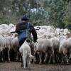 Отель Posada Real La Mula de los Arribes ® - Mejor Precio Garantizado, фото 16