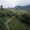 Отель Coffee Adventures By La Palma y El Tucan, фото 29