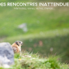 Отель Ecrin Blanc Resort Courchevel, фото 34
