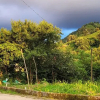 Отель Umut Apart Rize, фото 3