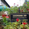 Отель Smokehouse Hotel Cameron Highlands, фото 12