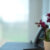 Отель Diana Rooms, фото 12