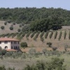 Отель Agriturismo La Steccaia Alta в Чивителла-Паганике