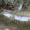 Отель Zeusplace Olympus Olive Country House 4, фото 5