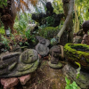 Отель Seogwipo Baelritongnamubilriji Pension, фото 11
