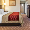 Отель Comfort Inn, фото 4