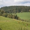 Отель Landgasthof Berghof, фото 5