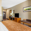 Отель Comfort Suites University, фото 31