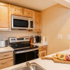 Отель Designer Newly Renovated 1BR in Aspen, фото 3