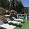 Отель Sorrento Olive Tree Garden, фото 17