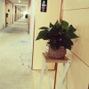 Отель Qiantu Business Hotel(San Shui Guang Chang Dian), фото 9