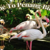 Отель Crowne Plaza Penang Straits City, an IHG Hotel, фото 22
