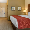 Отель Comfort Inn & Suites, фото 1