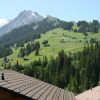 Отель Chalet Silky, фото 1