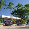 Отель Base Airlie Beach Resort - Hostel, фото 8