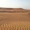 Отель Alsarmadi Desert Camp, фото 43