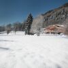 Отель Chalet Alpino - Maso del Brenta, фото 1