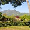 Отель Bungalow with 2 Bedrooms in Santa-Lucia-Di-Moriani, with Wonderful Mountain View, Enclosed Garden An, фото 18