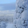 Отель Rukaj Rven Kelopirtit Hilla Kuusamo, фото 16