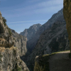 Отель Naranjo De Bulnes, фото 13