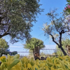 Отель Italianway - La Casa Di Rita, фото 21