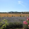 Отель Agriturismo Bassarì, фото 26