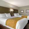 Отель Comfort Inn, фото 19