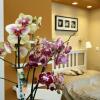 Отель Orchidea Apartman Eger, фото 7