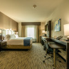 Отель Holiday Inn Austin Airport, an IHG Hotel, фото 4