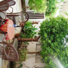 Отель Sai Home Stay B&B, фото 12