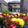 Отель Shouzhuoyuan Resort, фото 15