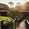 Отель One&Only Nyungwe House, фото 30