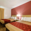 Отель Econo Lodge Inn & Suites Lake Harmony - Pocono Mountains Area, фото 20