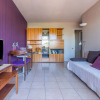 Отель Plein Soleil 19901, фото 8
