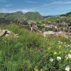 Отель Résidence Saskia Falaise - Avoriaz, фото 4