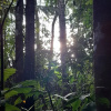 Отель Inti Amazon Lodge - Lupuna Zona 2, фото 2