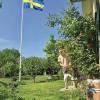 Отель Awesome Home in Fjälkinge With 1 Bedrooms and Wifi, фото 16