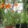 Отель Poggio Gaio Guest House, фото 7
