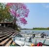 Отель Lontra Pantanal Hotel, фото 4