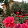Отель Villa With One Bedroom In Caltanissetta, With Wonderful City View, Enclosed Garden And Wifi 60 Km Fr, фото 4