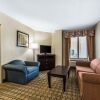 Отель Holiday Inn Express Pittsburgh-Cranberry, фото 44