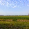 Отель Landhotel de IJsvogel, фото 14