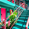 Отель Kini Beach Haus, фото 32