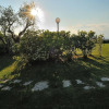 Отель Agriturismo Poggio Delle Conche, фото 19