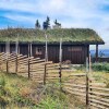 Отель Stunning Home in Svingvoll With 3 Bedrooms and Sauna, фото 14