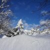 Отель Haus Sonnenblick, фото 16