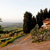 Отель Nice cottage for 4 persons near Florence. Big private infinity pool-SOTTO COLLE - COTTAGE, фото 6