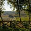 Отель Vigna Sant' Amico Country House, фото 17